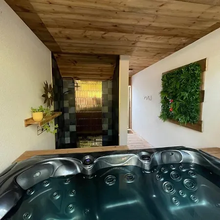 Superbe T3 Rdc De Totalement Independant Avec Jacuzzi Prive, 500m Ocean Seignosse